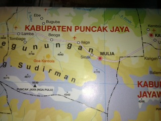 Ilustrasi ( Doc. Jubi )