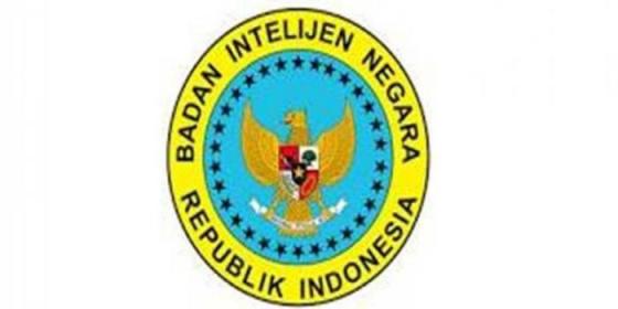 Logo BIN