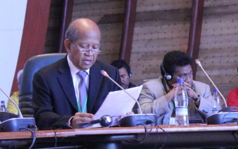 Wakil Mnetri Luar Negeri Indonesia, Wisnuwhardana (Jubi)