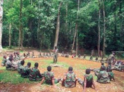 Pendidikan dan Latihan TPN-OPM yang berjuang demi penentuan nasib sendiri dan kemerdekaan Papua